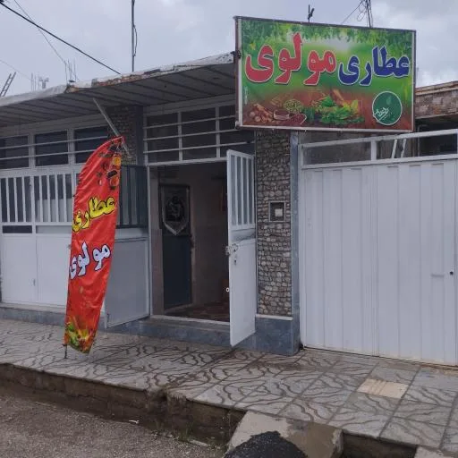 عطاری مولوی