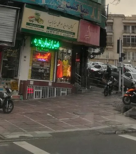 گیاهان دارویی ابن سینا ( سید)