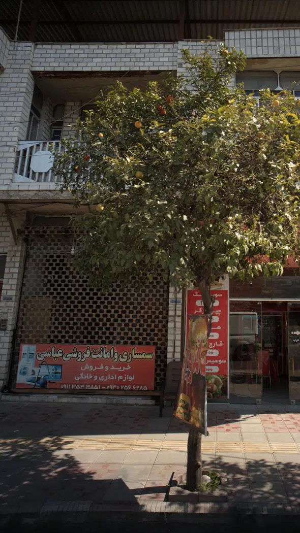 سمساری و امانت فروشی عباسی