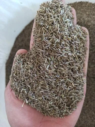 پخش گیاهان دارویی و ادویه جات سرای عطار