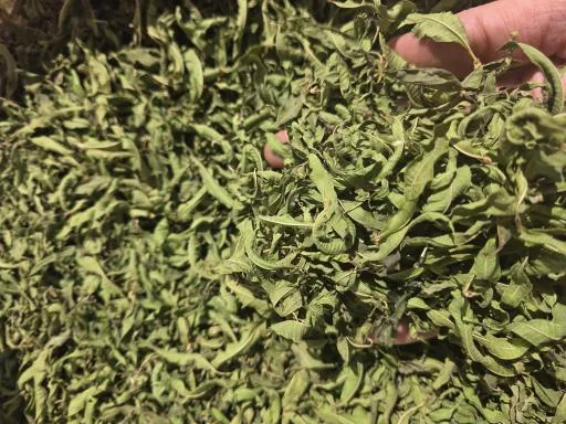 عطاری ولی پور شعبه یک (پخش عمده)