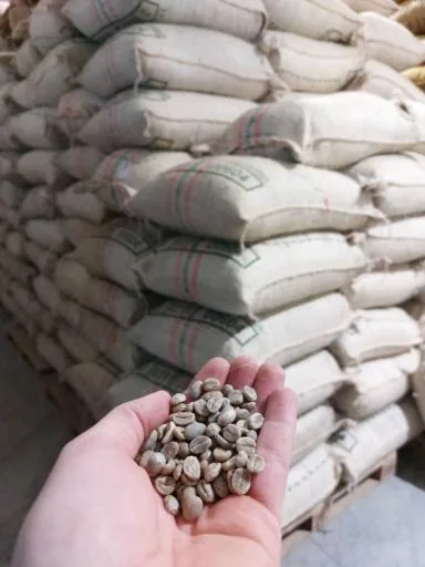 الماس افق ایرانیان