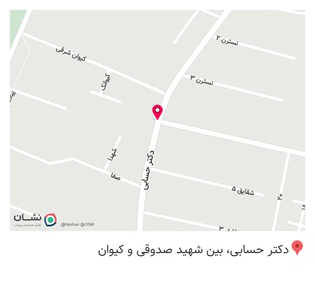 پوشاک شانلی