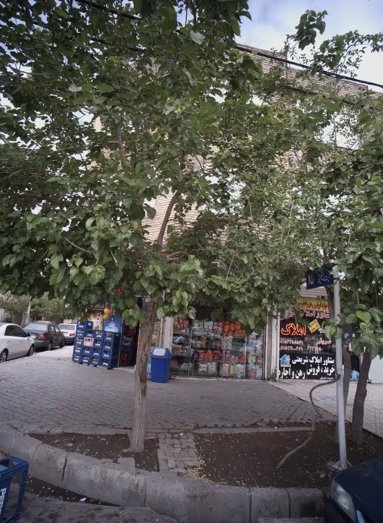 مشاور ملاک شریعتی