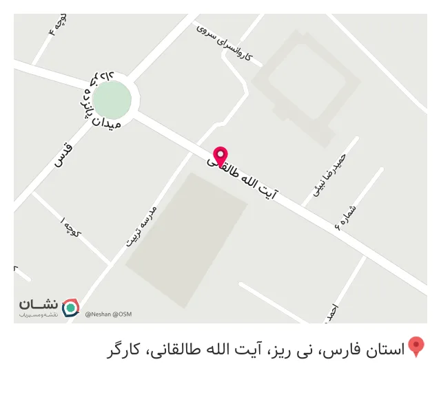 چاپ مرکزی نی ریز