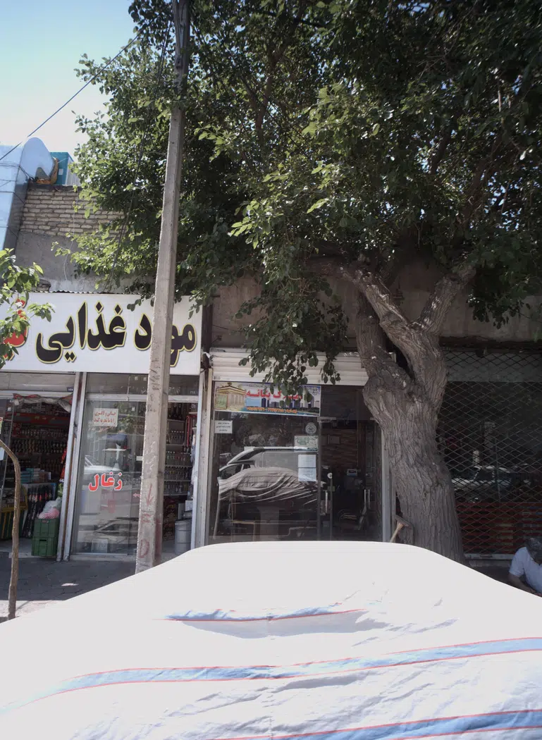 املاک یگانه