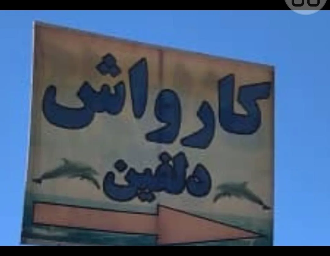 کارواش دلفین