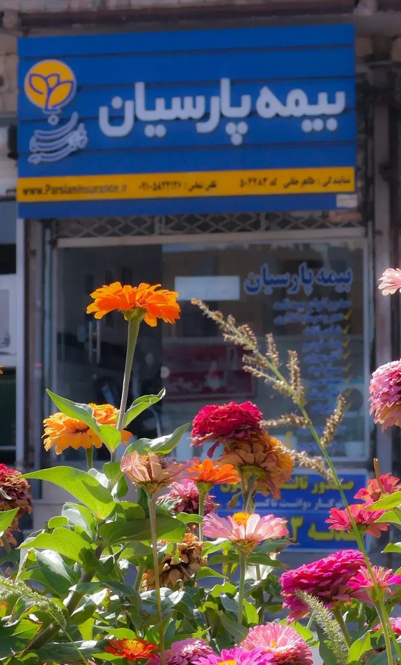 بیمه پارسیان