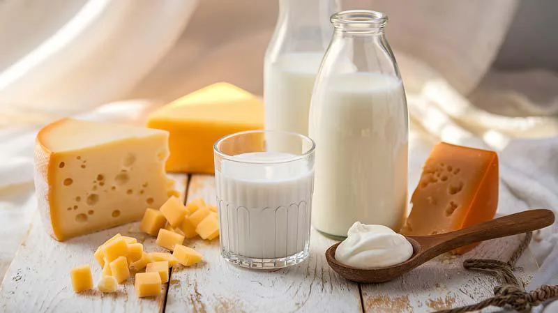 لبنیات سربند