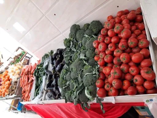 میوه تره بار فروشی پاداد