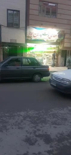 عطاری و خشکبار ابن سینا