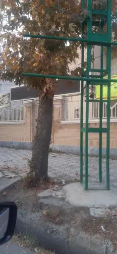 کمیته امداد امام خمینی اشنویه