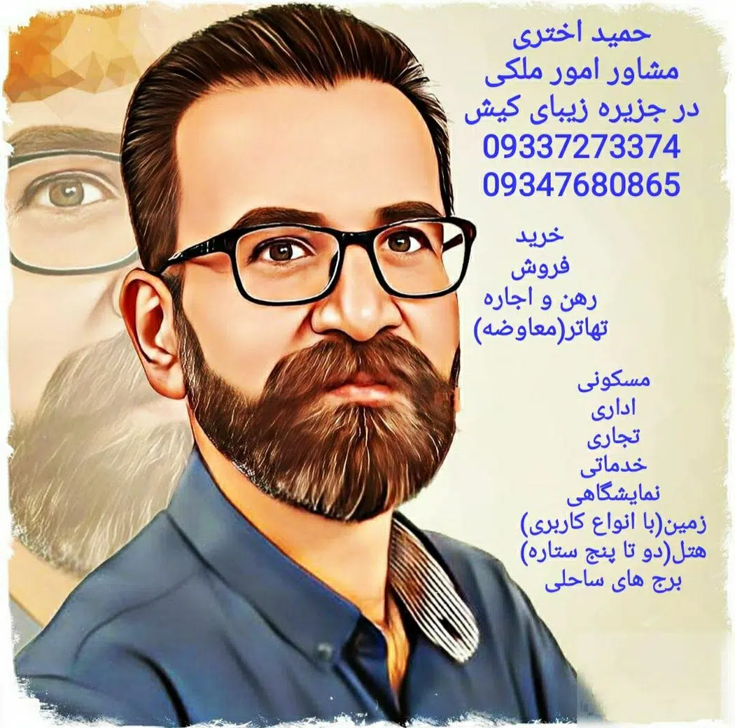 مشاور امور ملکی