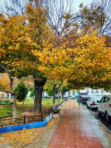 پارک راه آهن