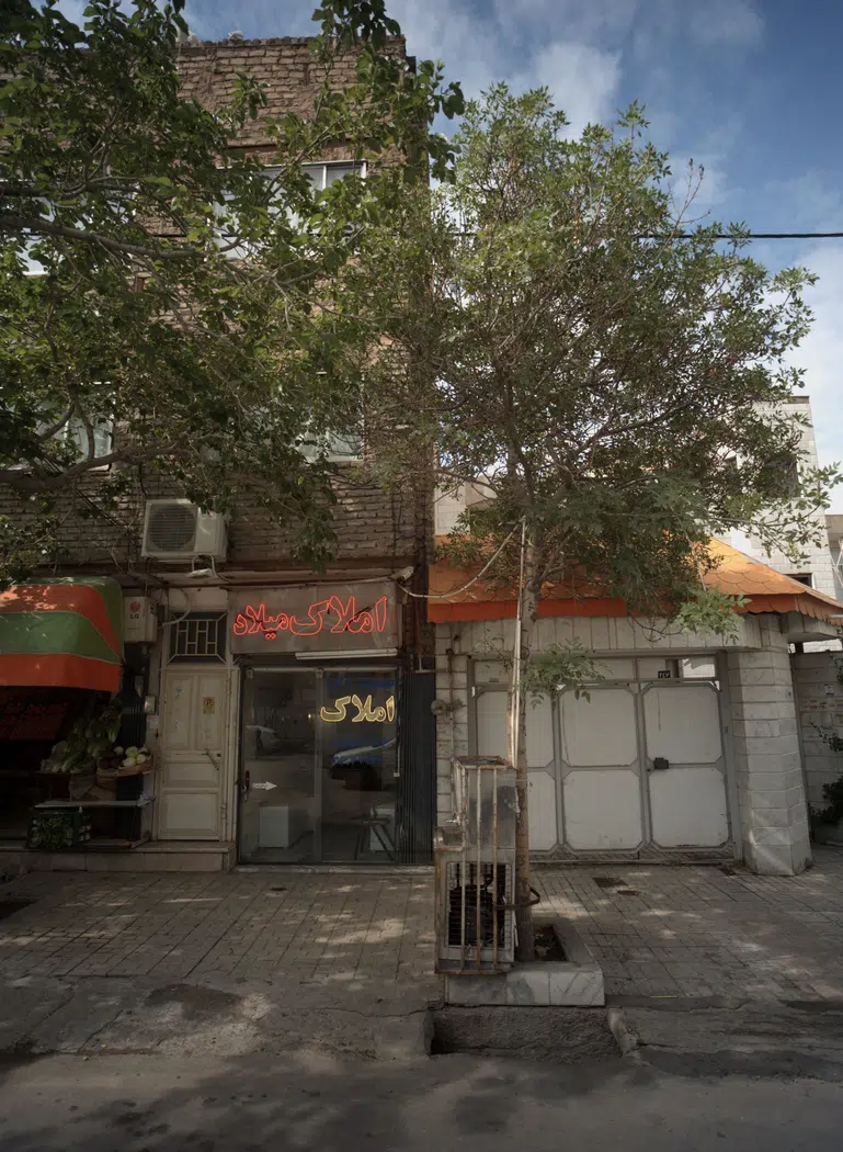 املاک میلاد