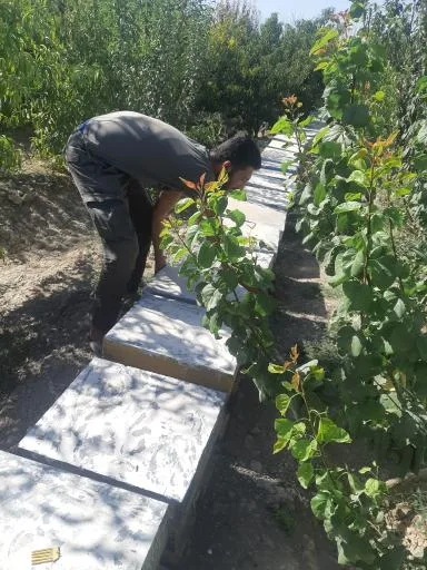 پرورش زنبور عسل دهدشت