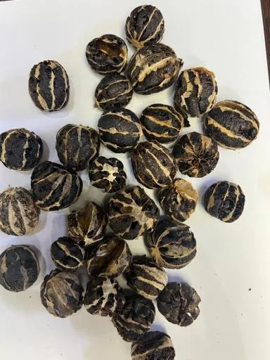 عطاری حکیمی
