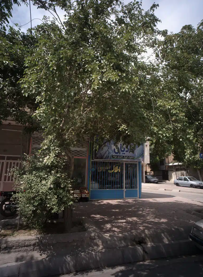 مشار املاک دادیان
