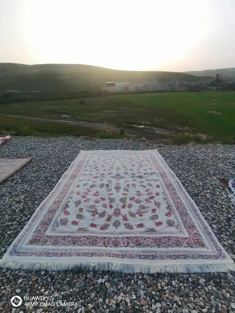 قالیشویی چهار فصل