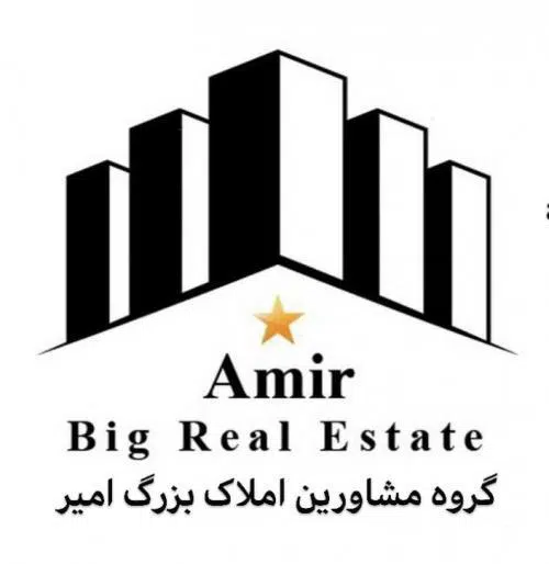 مشاور املاک امیر