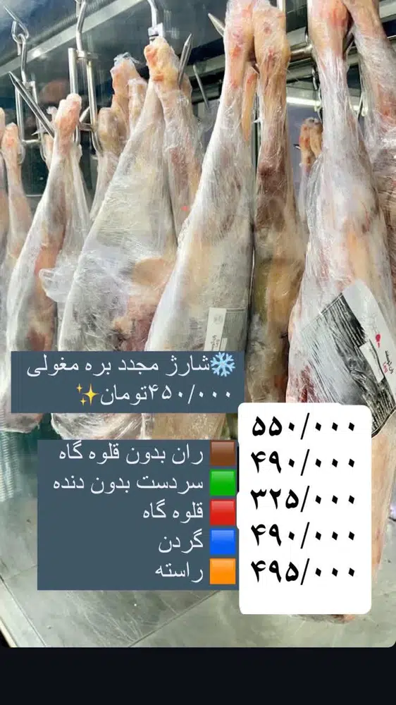 هایپر بوقلمون پرگاس