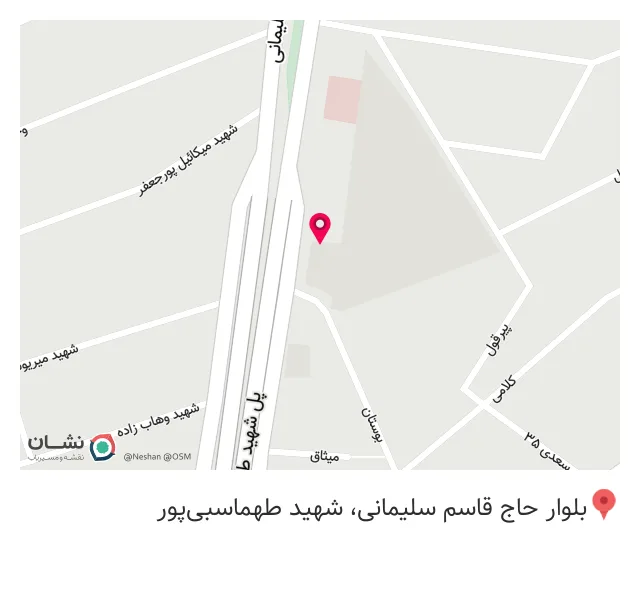 بیمه پارسیان عباس نژاد