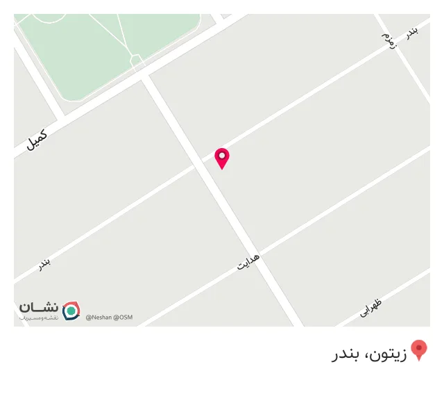 آجیل وخشکبار زیتون