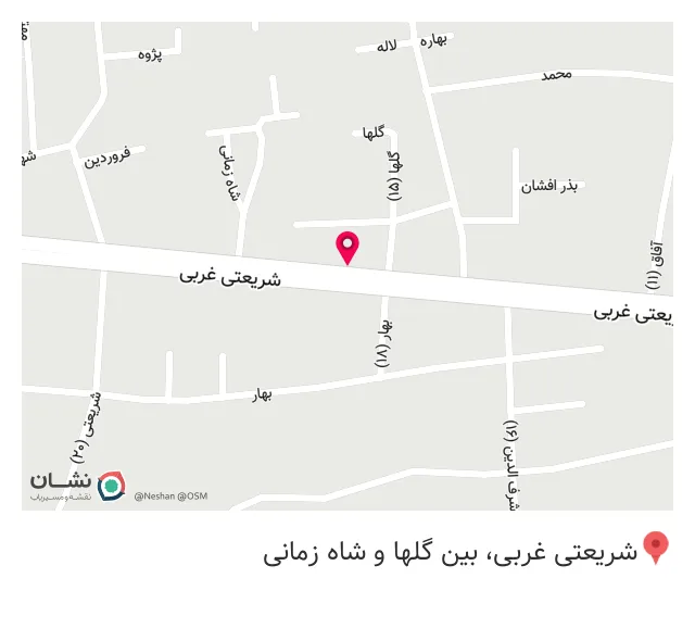 دکوراسیون رایزن پارس