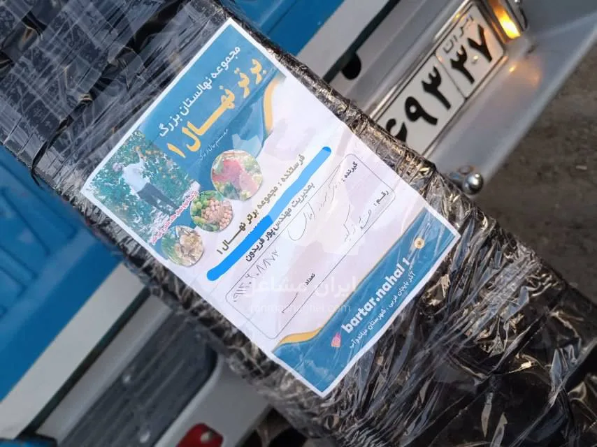 نهالستان برتر نهال پورفریدون در میاندوآب