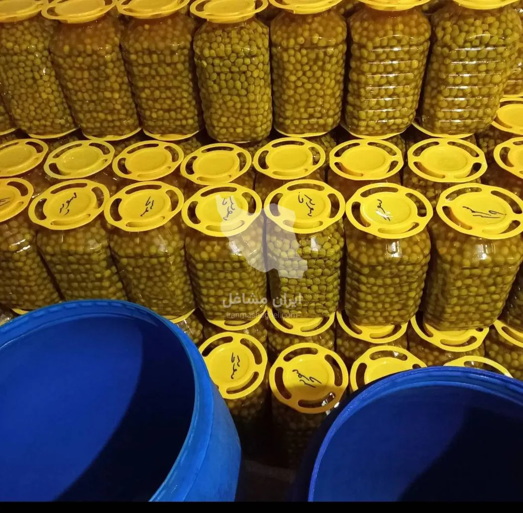 پخش عمده و جزئی زیتون بمدیریت روحی در رودبار