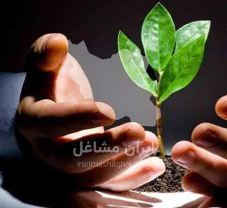 ترک اعتیاد بدون درد و خماری سجاد گلی در بابل
