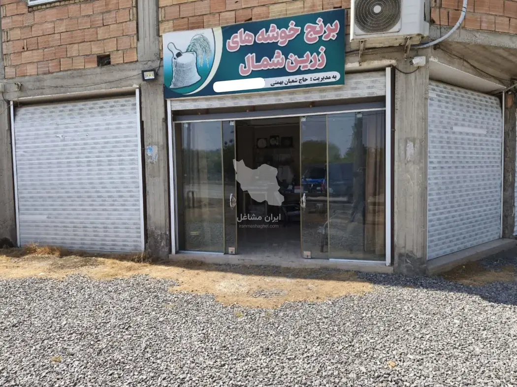 پخش و فروش عمده برنج خوشه های زرین شمال بهمنی در تبریز