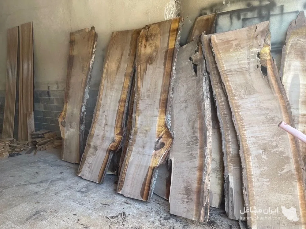 عمده فروشی چوب گردو و سفید کارینو در کرج