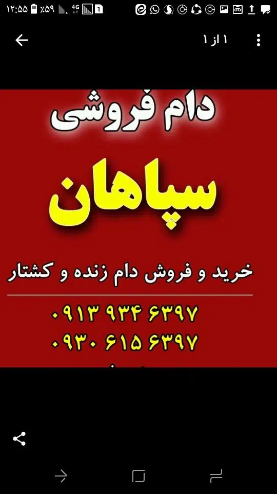 دام فروشی سپاهان
