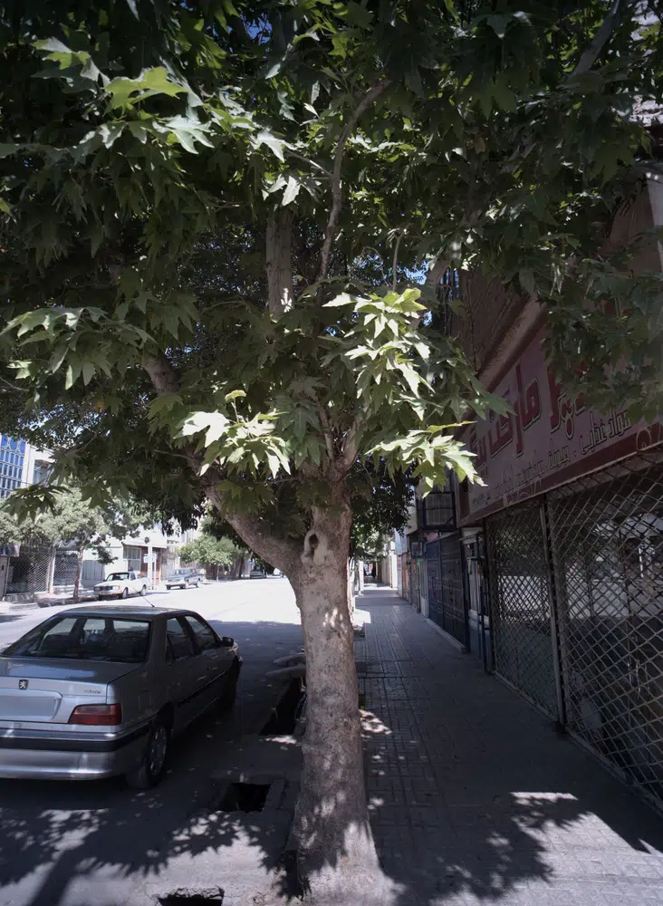 سوپرمارکت بیگی