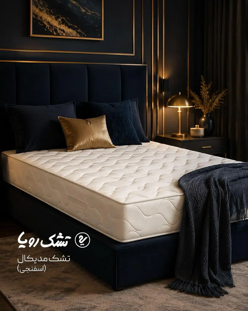 نمایندگی رسمی تشک رویا ( فروشگاه ملائی )