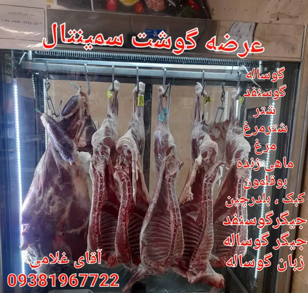 قصابی سیمنتال