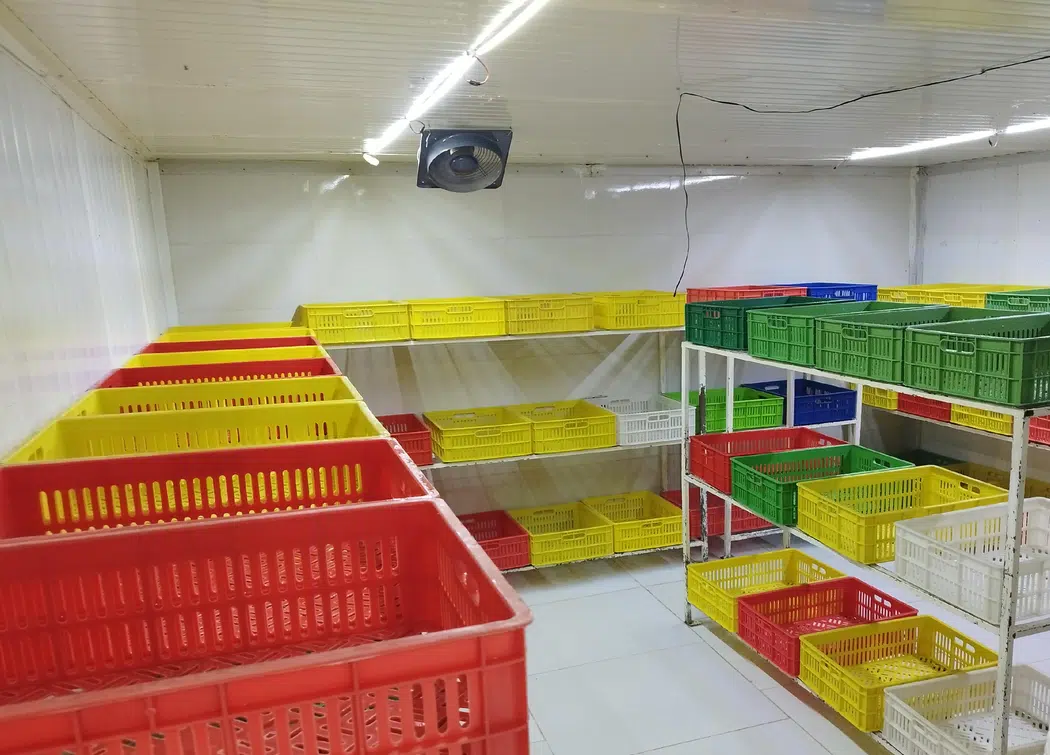 لبنیات سنتی مالار