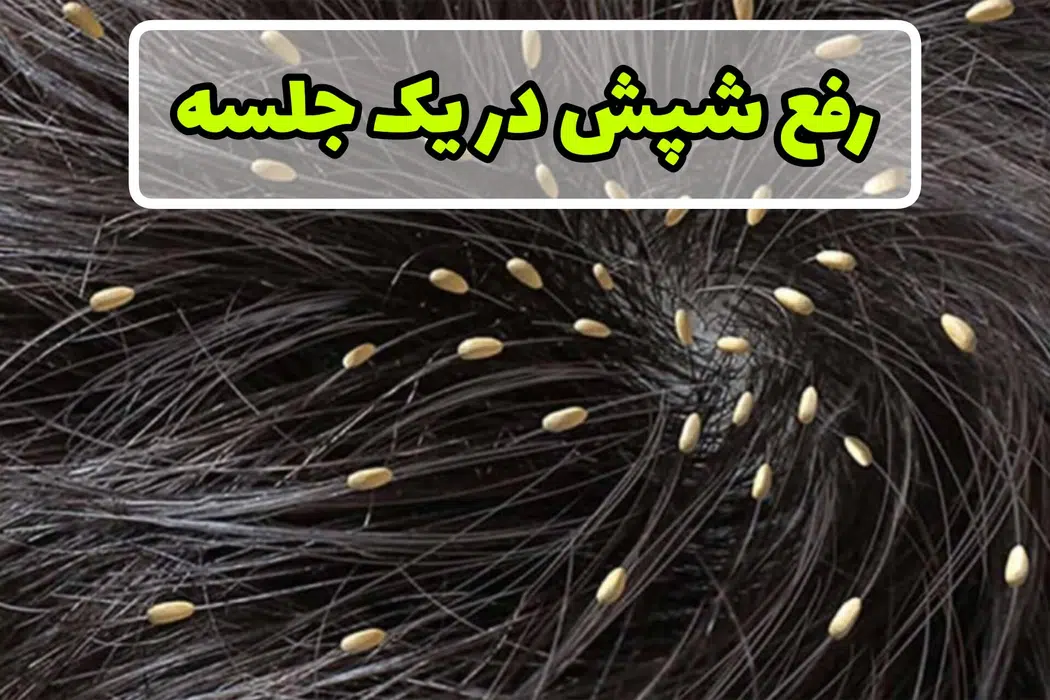 عطاری فندق