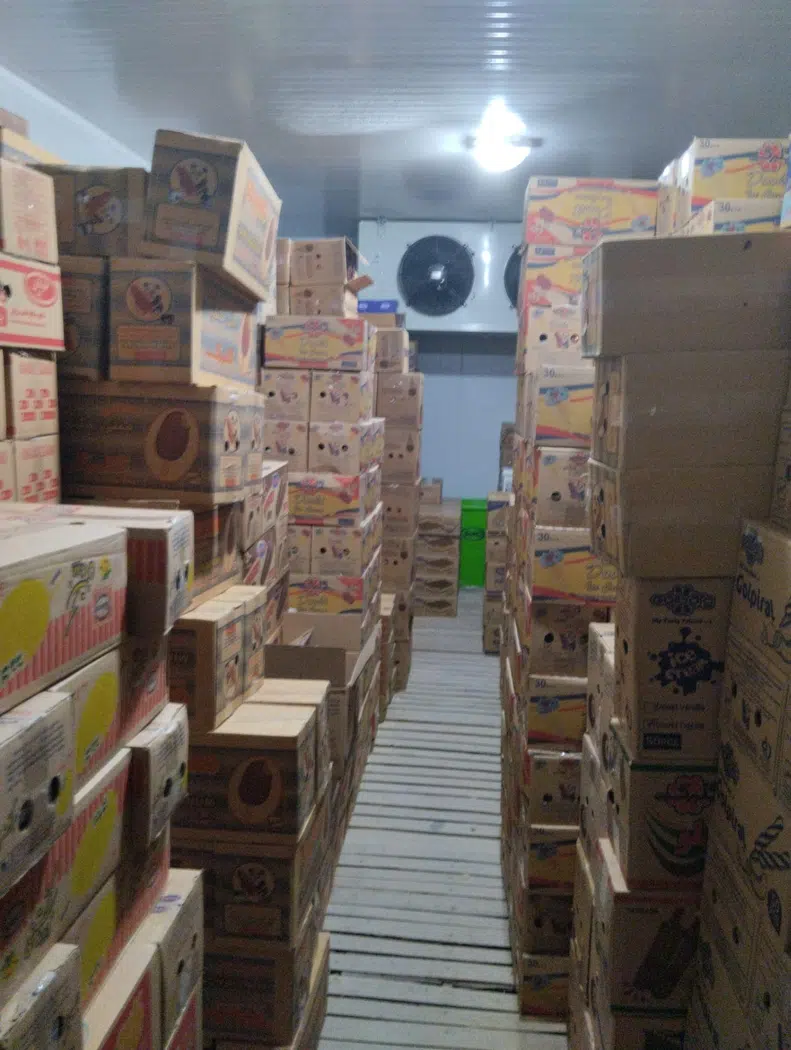 نمایندگی پخش بستنی دومینو (مهدی خسرو بیگی)
