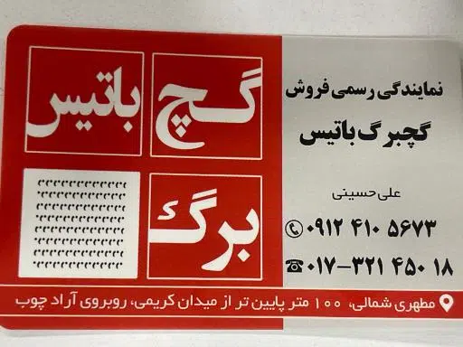 نمایندگی گچ برگ باتیس حسینی