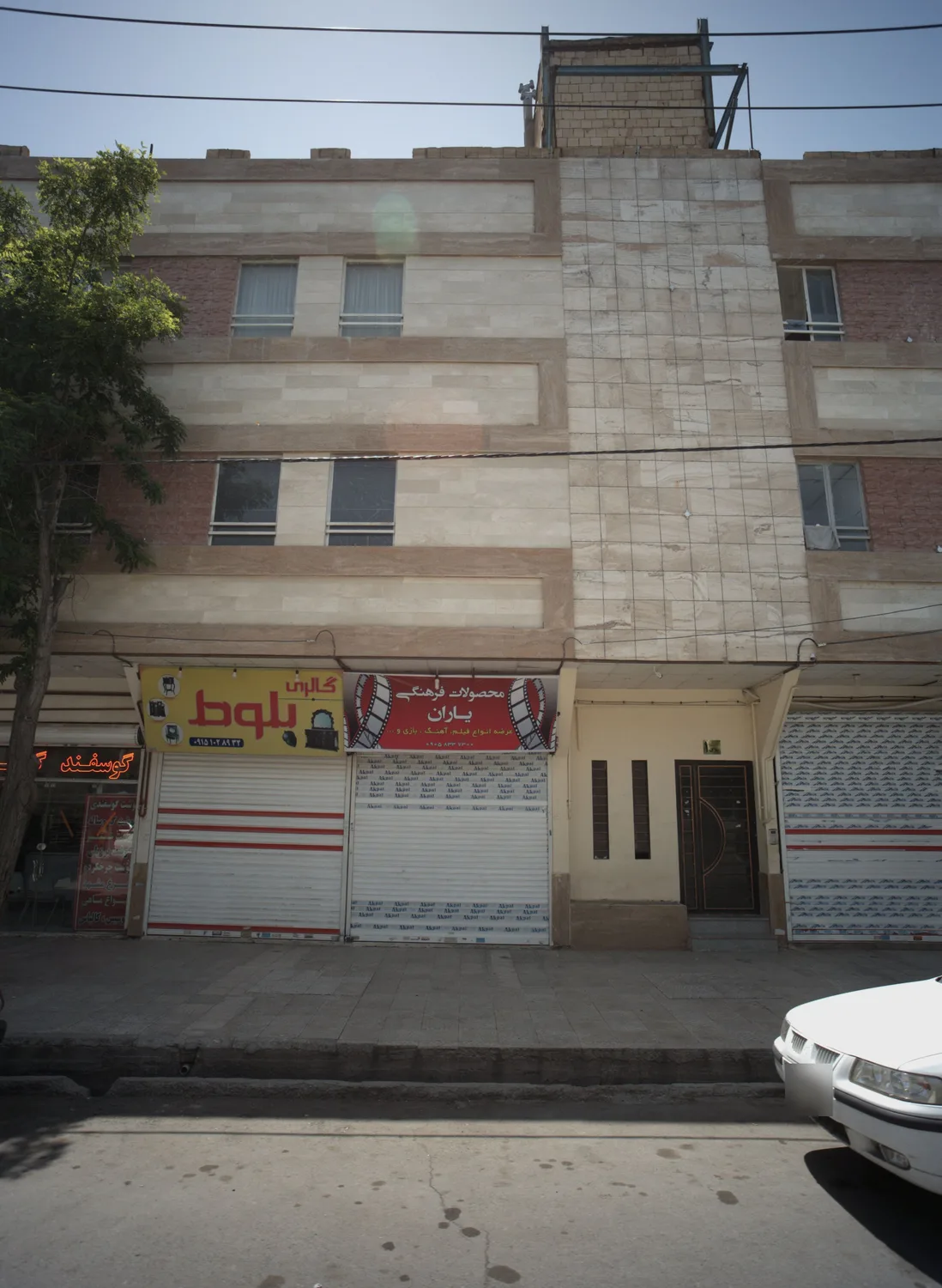 گالری بلوط
