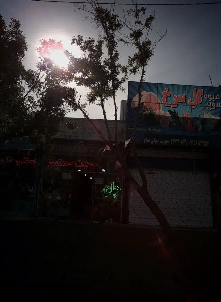برنج و حبوبات عسکری