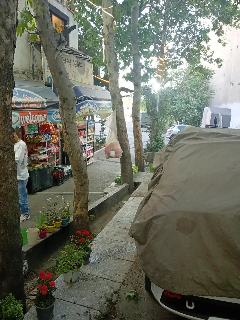 تیموری
