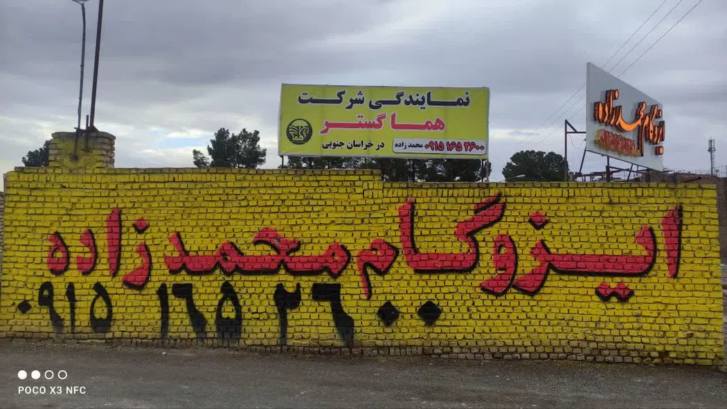 ایزوگام محمدزاده
