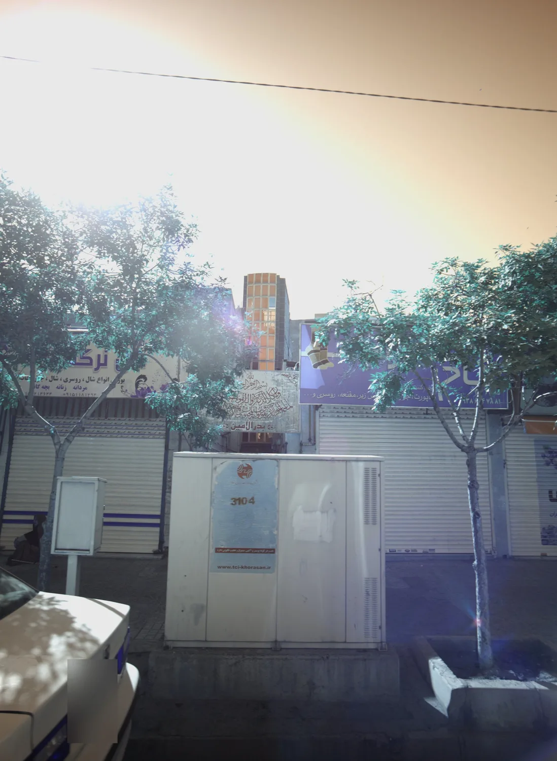 شال و روسری گل نرگس