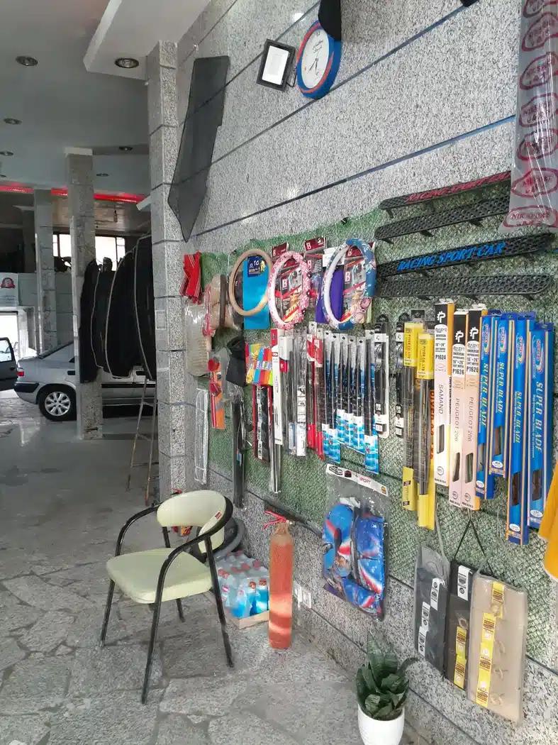نمایندگی دزدگیر سیلورین