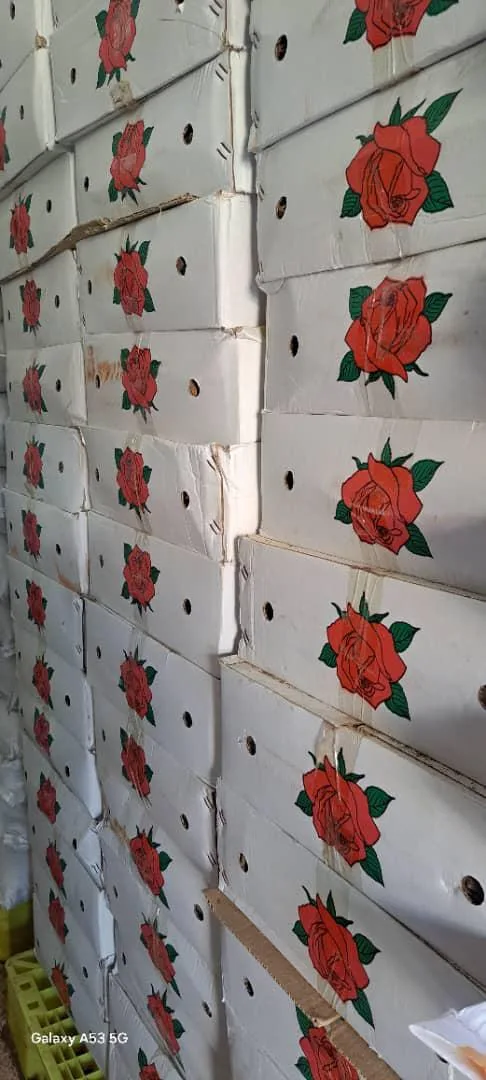 عطاری پخش عمده و جزئی گیاهان دارویی