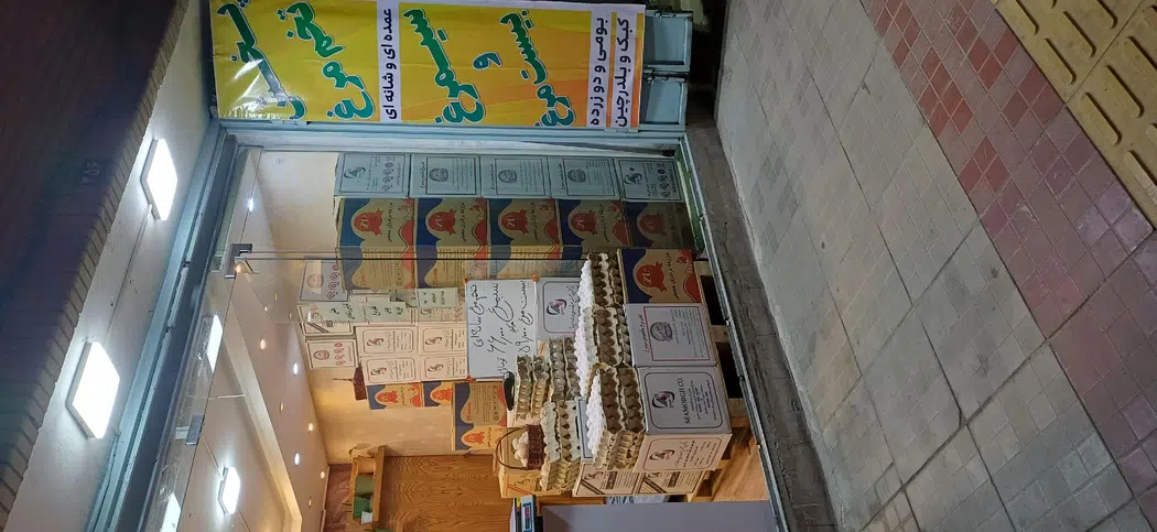 پخش تخم مرغ وحید