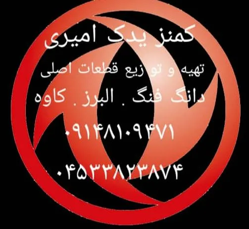 فروشگاه بزرگ دانگ فنگ و کاوه امیری